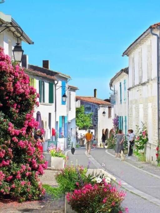 Mornac-sur-Seudre Maison Coquelicots - 4 Personnes - Jardin מראה חיצוני תמונה