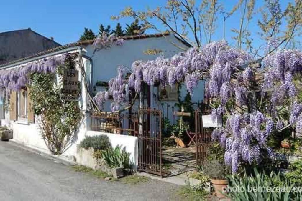 Mornac-sur-Seudre Maison Coquelicots - 4 Personnes - Jardin מראה חיצוני תמונה